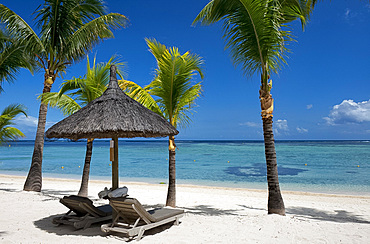 Palm trees and a white sand beach at the Lux Le Morne Hotel on Le Morne Brabant Peninsula, Mauritius, Indian Ocean, Africa