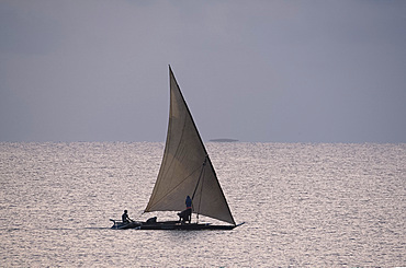 Fisherman heading out to sea at sunrise in a sailing dhow near Ushongo, Pangani, Tanzania, East Africa, Africa