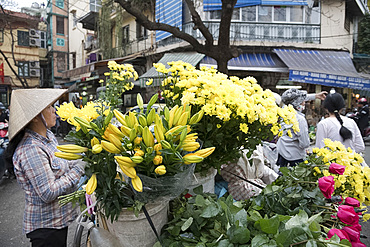 A woman selling yellow chrysanthemums and lilies for the Tet holiday in the Old Quarter, Hanoi, Vietnam, Indochina, Southeast Asia, Asia