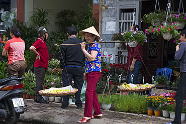 A Vietnamese woman selling fruit from baskets on Hoang Hoa Tham Street, Hanoi, Vietnam, Indochina, Southeast Asia, Asia