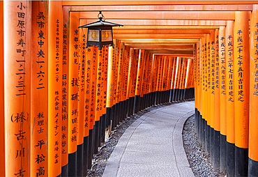 Red Gates at the Fushimi Inari Taisha, a Shinto shrine on Mount Inari, Kyoto, Arashiyama, Japan, Asia