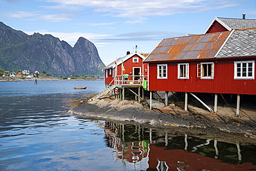 Rorbu, traditional fishermen's cabins now used for tourist accommodation in Reine, Moskenesoya, The Lofoten Islands, Norway, Europe