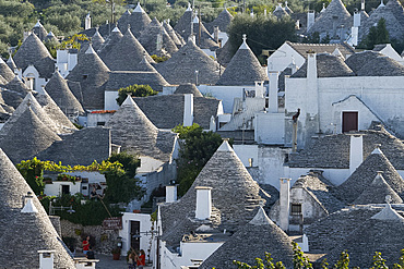 Conical dry stone roofs on trulli, traditonal houses in Alberobello, UNESCO World Heritage Site, Bari Province, Puglia, Italy, Europe