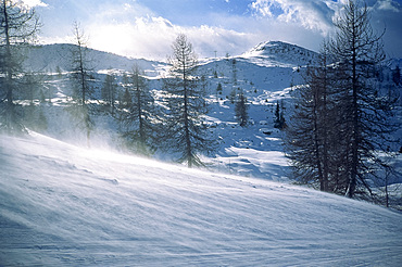 Madonna di Campiglio, in the Dolomites, during winter, Trentino Alto Adige, Italy, Europe