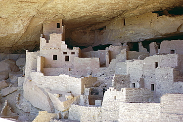 Cliff palace ruins dating from 1200-1300 AD shaded in limestone overhang, Mesa Verde, Mesa Verde National Park, UNESCO World Heritage Site, Colorado, United States of America (U.S.A.), North America