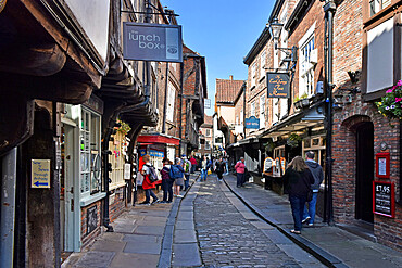 The Shambles, the ancient street of the butchers of York, mentioned in the Doomsday Book of William the Conqueror, York, Yorkshire, England, United Kingdom, Europe