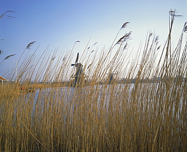 Canal and windmills at Zaause Schaus, near Amsterdam, Holland (The Netherlands), Europe