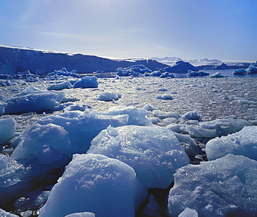 Floating Ice on Antartica