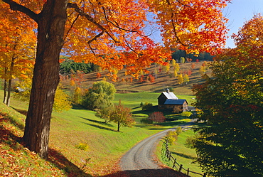 Autumn scene, farm, Vermont, New England, United States of America, North America