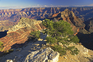 The Grand Canyon National Park, UNESCO World Heritage Site, Arizona, USA, North America