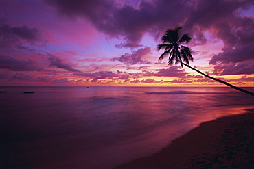 Gibbes Bay at sunset, Barbados, West Indies, Caribbean, Central America