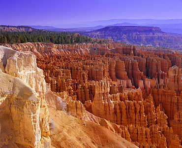 Rock Hoodoos in Bryce Amphithreatre, Bryce Canyon National Park, Utah, USA, North America