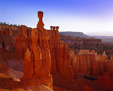 Rock Hoodoos, Thor's Hammer in Bryce Amphitheatre, Bryce Canyon National Park, Utah, USA, North America