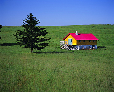 Yellow and red house, Hokkaido, Japan, Asia