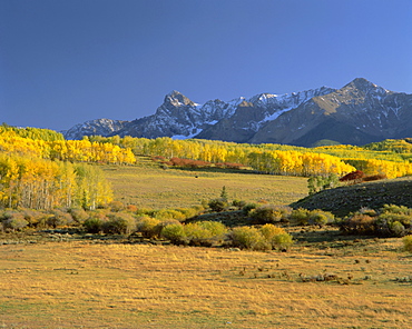 Dallas divide between Placerville and Ridgway in the autumn, Colorado, USA, North America