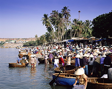 Fishing village people collecting the morning catch from fishing boat fleet, Mui Ne, south-central coast, Vietnam, Indochina, Southeast Asia, Asia