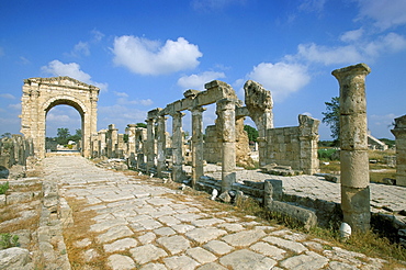 Roman triumphal arch and colonnaded street, Al Bas site, UNESCO World Heritage Site, Tyre (Sour), Lebanon, Middle East