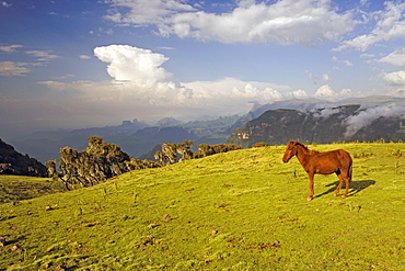 View looking towards the Nortern Escarpment near Sankaber, UNESCO World Heritage Site, Simien Mountains National Park, Ethiopia, Africa