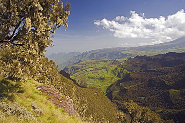 Dramatic mountain scenery from the area around Geech, UNESCO World Heritage Site, Simien Mountains National Park, The Ethiopian Highlands, Ethiopia, Africa