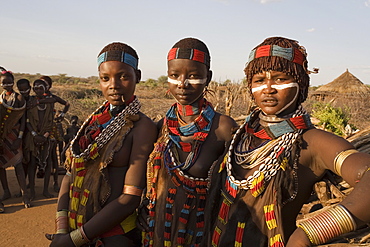 People of the Hamer tribe, the woman's hair treated with ochre, water and resin and twisted into tresses known as goscha, Lower Omo Valley, southern Ethiopia, Ethiopia, Africa