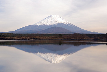 Mount Fuji, 3776m, viewed across Shoji-Ko, one of the lakes in the Fuji Go-ko (Fuji Five Lakes) region, Honshu, Japan, Asia