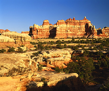 The Needles in Chesler Park, Canyonlands National Park, Utah, United States of America, North America