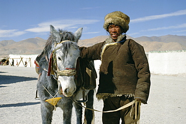 Tibetan horseman with his horse, Tibet, China, Asia