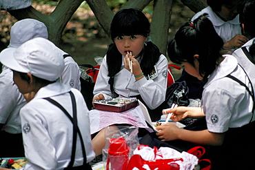 Schoolgirls eating packed lunch, Bento, Kagoshima Park, Japan, Asia