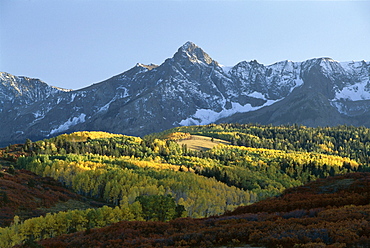 Autumn colours, Colorado, United States of America (U.S.A.), North America