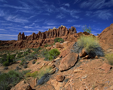 Rocky landscape and cliffs in the Klondike Bluffs District of Arches National Park, in Utah, United States of America, North America