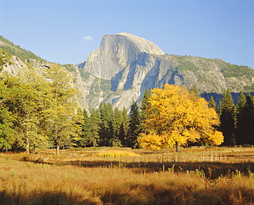 Half Dome in the autumn, Yosemite National Park, California, USA