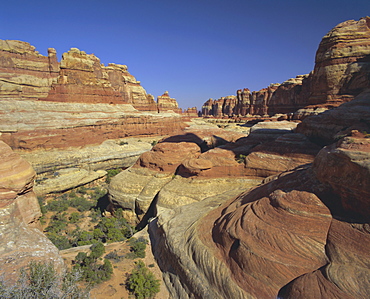 The Needles, Canyonlands National Park, Utah, USA, North America