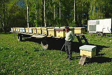 Beekeeping in the Kara Kol Valley, Kirghizstan, Central Asia, Asia