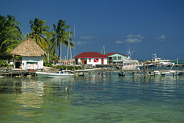 Jetties and buildings at Ambergris Caye on Main Dive Island in Belize, Central America