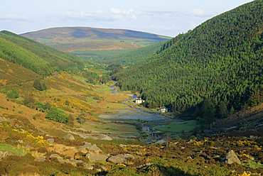 View down a valley near Glendalough, Wicklow Mountains, County Wicklow, Leinster, Republic of Ireland (Eire), Europe