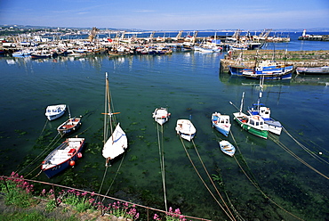 Harbour and fishing fleet, Penzance, Cornwall, England, United Kingdom, Europe