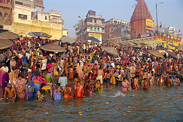 Morning religious rituals in the Ganges river, Makar San Kranti, Varanasi (Benares), Uttar Pradesh State, India, Asia