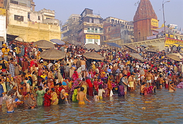 Hindu religious morning rituals in the Ganges (Ganga) River, Makar Sankranti festival, Varanasi (Benares), Uttar Pradesh State, India