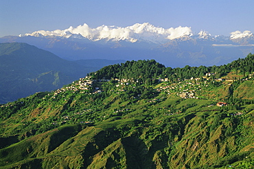 Old British hill station established in the 1800s, now a tourist centre, Darjeeling, West Bengal State, India, Asia