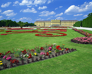 Formal gardens with flower beds in front of the Schonbrunn Palace, UNESCO World Heritage Site, Vienna, Austria, Europe