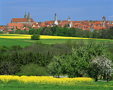 Fields and trees in front of the town skyline of Rothenburg ob der Tauber on the Romantic Road in Bavaria, Germany, Europe