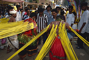 Men with hooks through the skin on their backs at the annual Hindu festival of Thaipusam in the Batu Caves near Kuala Lumpur, Malaysia, Southeast Asia, Asia