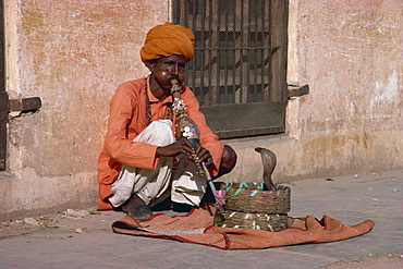 Snake charmer, Jaipur, Rajasthan, India, Asia