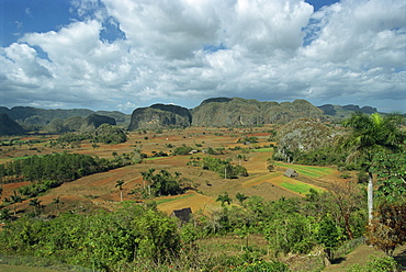 The Sierra De Los Oragnos mountains near Vinales, Cuba, West Indies, Caribbean, Central America