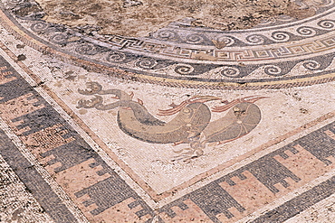 Mosaic in the House of the Dolphins, archaeological site, Delos, UNESCO World Heritage Site, Cyclades islands, Greece, Europe