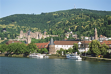 Germany, Baden-Wurttemberg, castle and town by Neckar River