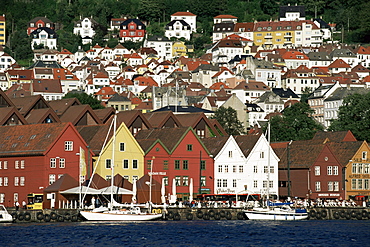 Hanseatic period wooden buildings, Bryggen (Bergen), Norway, Scandinavia, Europe