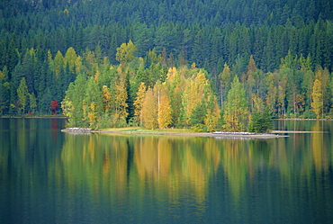 Lappland, Sweden, Scandinavia, Europe