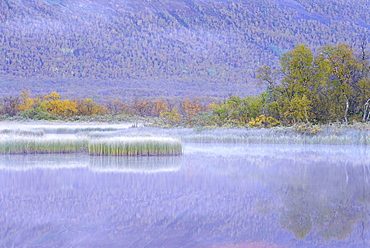 Laponia World Heritage Site, Lappland, Sweden, Scandinavia, Europe