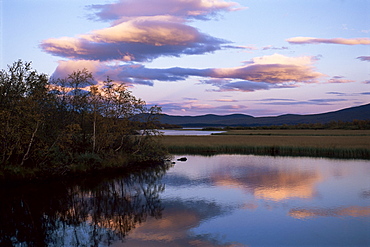 Trees and lake at sunset, Laponia, Lappland, Sweden, Scandinavia, Europe